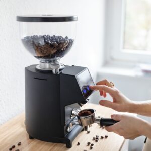 Stainless Steel Coffee Grinder